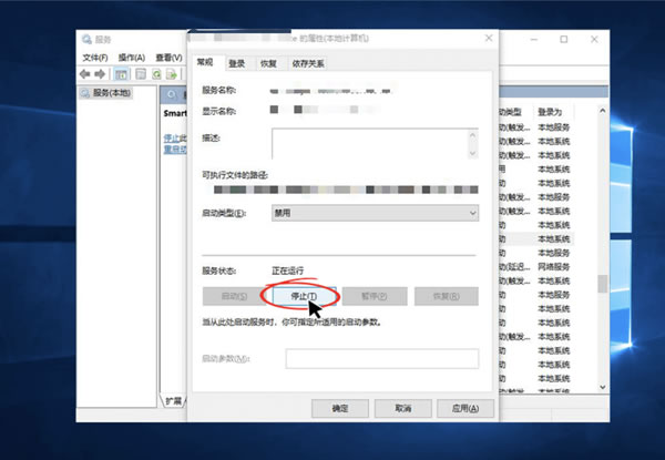 快连电脑版部分Network Service需要进行哪些设置 快连电脑版部分Network Service需要进行哪些设置